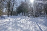 Nature Off Road: Snow-Covered Trails and Trees