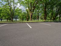 parking lot with multiple rows of trees on either side and paved, pavemented area in front