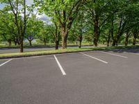 parking lot with multiple rows of trees on either side and paved, pavemented area in front