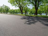 Nature Park by the Lake: A Lush Landscape on a Sunny Day