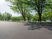 Nature Park by the Lake: A Lush Landscape on a Sunny Day