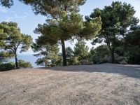 Nature Park in Mallorca: A Spacious Open Space