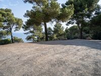 Nature Park in Mallorca: A Spacious Open Space