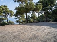 Nature Park in Mallorca: A Spacious Open Space