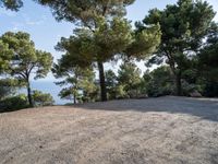 Nature Park in Mallorca: A Spacious Open Space