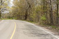 a man is riding a motorcycle down a country road in the countryside area of a state park