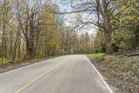 a long stretch of empty country road with yellow markings on the sides and trees along the road