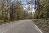 a long stretch of empty country road with yellow markings on the sides and trees along the road