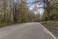 a long stretch of empty country road with yellow markings on the sides and trees along the road