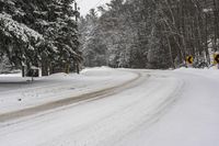 Nature Scene in Toronto, Ontario: A Forest Road