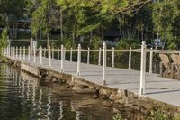 Nature's Beauty: Tree, Bridge, Pond, and Reflection