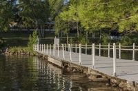 Nature's Beauty: Tree, Bridge, Pond, and Reflection