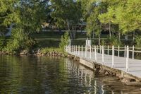 Nature's Beauty: Tree, Bridge, Pond, and Reflection