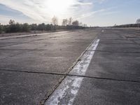 Nature and Tree Silhouette Against a Dawn Horizon with Clouds