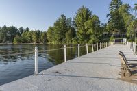 Nature and Trees in a Rural Park by the Lake