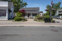 the street in front of the houses has bushes and other trees, all lined up, all along the sidewalk