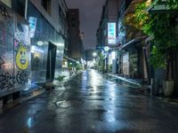 the narrow street is lined with graffiti on it's buildings at night on an empty urban area