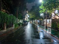 rainy streets and sidewalk in an urban area with street lamps and plants on either side and trees on either side