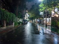 rainy streets and sidewalk in an urban area with street lamps and plants on either side and trees on either side