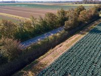 a bird's eye view of an empty road in an farm land area next to trees