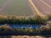 Netherlands Aerial View of Lush Green Landscape 001