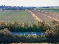 Netherlands Aerial View of Lush Green Landscape 003