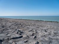 people are walking on the beach on a clear day with a small dog in it