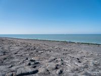 people are walking on the beach on a clear day with a small dog in it