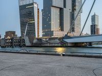 there is a bicycle with the back rack attached near a body of water and skyscrapers in the background