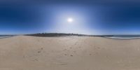 a panoramic view of the beach in a clear sky with footprints, a bird and some other feet in the sand