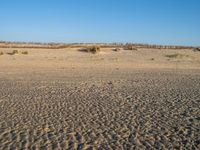 Coastal Landscape in the Netherlands: Holland's Beach