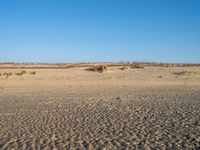 Coastal Landscape in the Netherlands: Holland's Beach