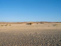 Coastal Landscape in the Netherlands: Holland's Beach