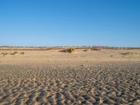 Coastal Landscape in the Netherlands: Holland's Beach