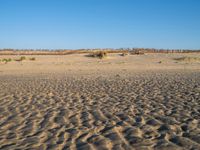 Coastal Landscape in the Netherlands: Holland's Beach