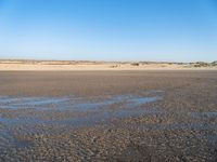 The Coastal Landscape of the Netherlands: Sand Dunes and Open Space