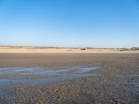 The Coastal Landscape of the Netherlands: Sand Dunes and Open Space