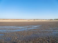 The Coastal Landscape of the Netherlands: Sand Dunes and Open Space