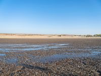 The Coastal Landscape of the Netherlands: Sand Dunes and Open Space