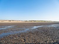 The Coastal Landscape of the Netherlands: Sand Dunes and Open Space