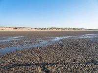 The Coastal Landscape of the Netherlands: Sand Dunes and Open Space