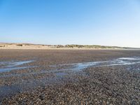The Coastal Landscape of the Netherlands: Sand Dunes and Open Space