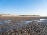 The Coastal Landscape of the Netherlands: Sand Dunes and Open Space