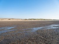 The Coastal Landscape of the Netherlands: Sand Dunes and Open Space