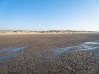 The Coastal Landscape of the Netherlands: Sand Dunes and Open Space