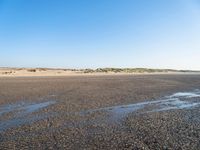 The Coastal Landscape of the Netherlands: Sand Dunes and Open Space