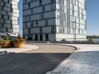 an empty road with two office buildings on the left and two plants on the right side