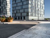 an empty road with two office buildings on the left and two plants on the right side