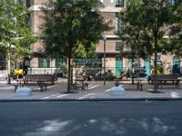 some park benches and trees on the street by a building that is next to a road