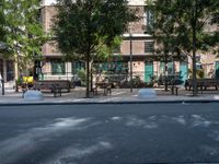 some park benches and trees on the street by a building that is next to a road